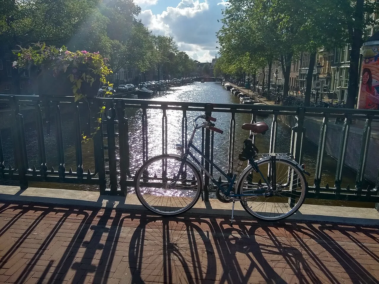 Modern Vibes & Local Life Experience in Amsterdam