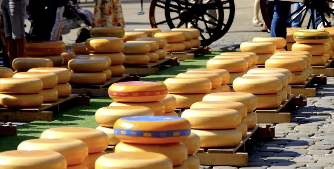 Gouda Cheese Market, The Eternal  Castle & Corpus  Traditions, Noble Secrets & The Human Body