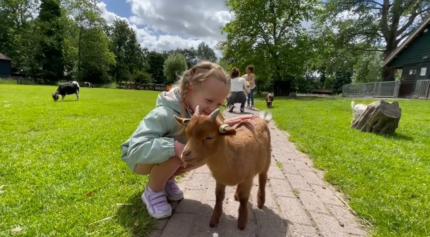 Goats Farm,  Royal Delft Blue & The  Secrets of Rotterdam  City.